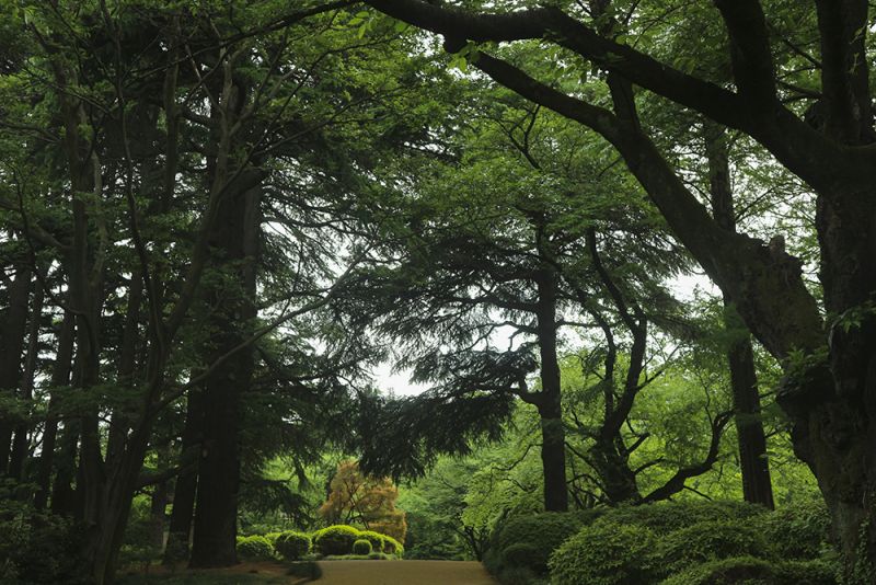 Công viên Shinjuku Gyoen